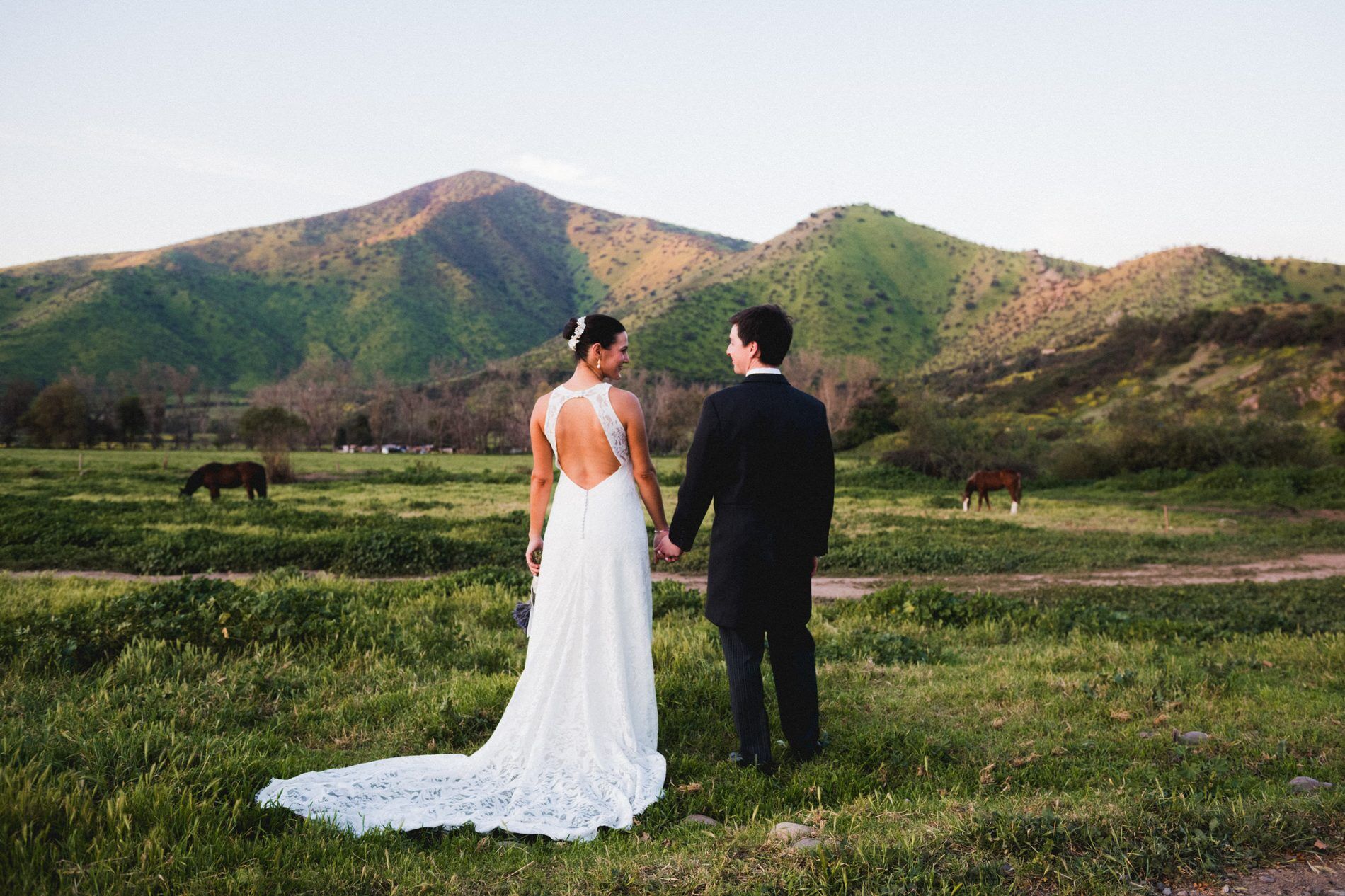 Bride and groom holding hands in front of green hills at golden hour
